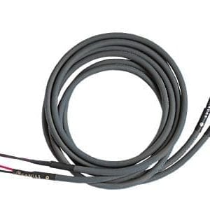 Audio Equipment - Audio Element